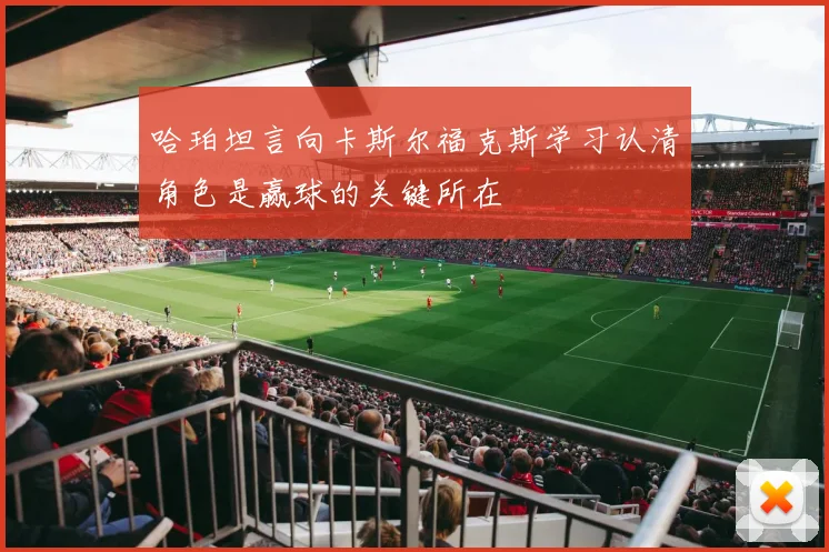 哈珀坦言向卡斯尔福克斯学习认清角色是赢球的关键所在