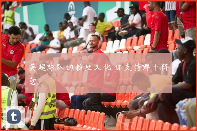 英超球队的粉丝文化 你支持哪个阵营